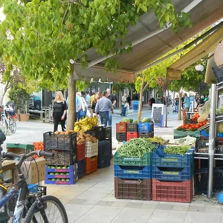 Gardenhouse In The Center Of *
