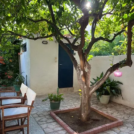 Gardenhouse In The Center Of