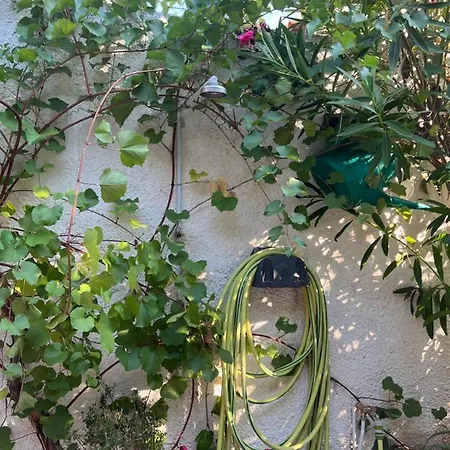 Gardenhouse In The Center Of *